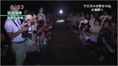 海と日本PROJECT in 大分県