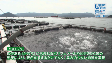 海と日本PROJECT in 大分県