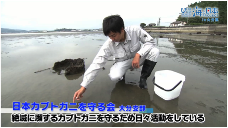 海と日本PROJECT in 大分県