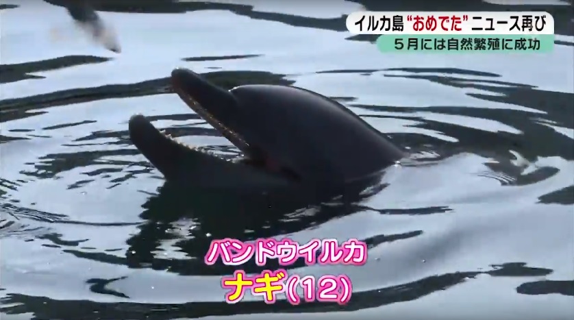 海と日本PROJECT in 大分県