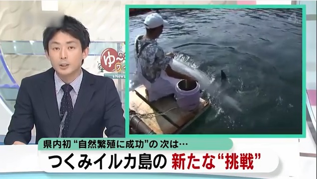 海と日本PROJECT in 大分県