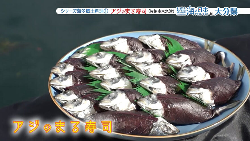 シリーズ海の郷土料理① アジのまる寿司