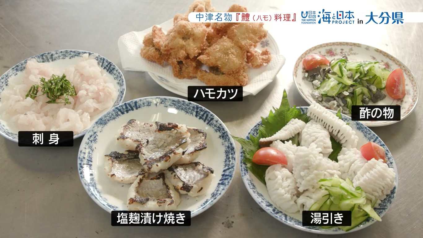 中津市の特産品 ハモ 様々な料理で愛される郷土の味 海と日本project In 大分県