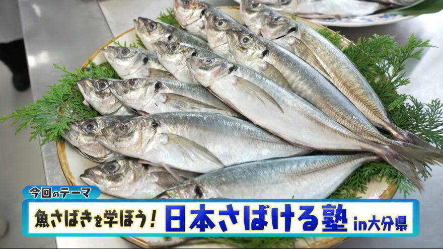 魚さばきを学ぼう！日本さばける塾in大分県